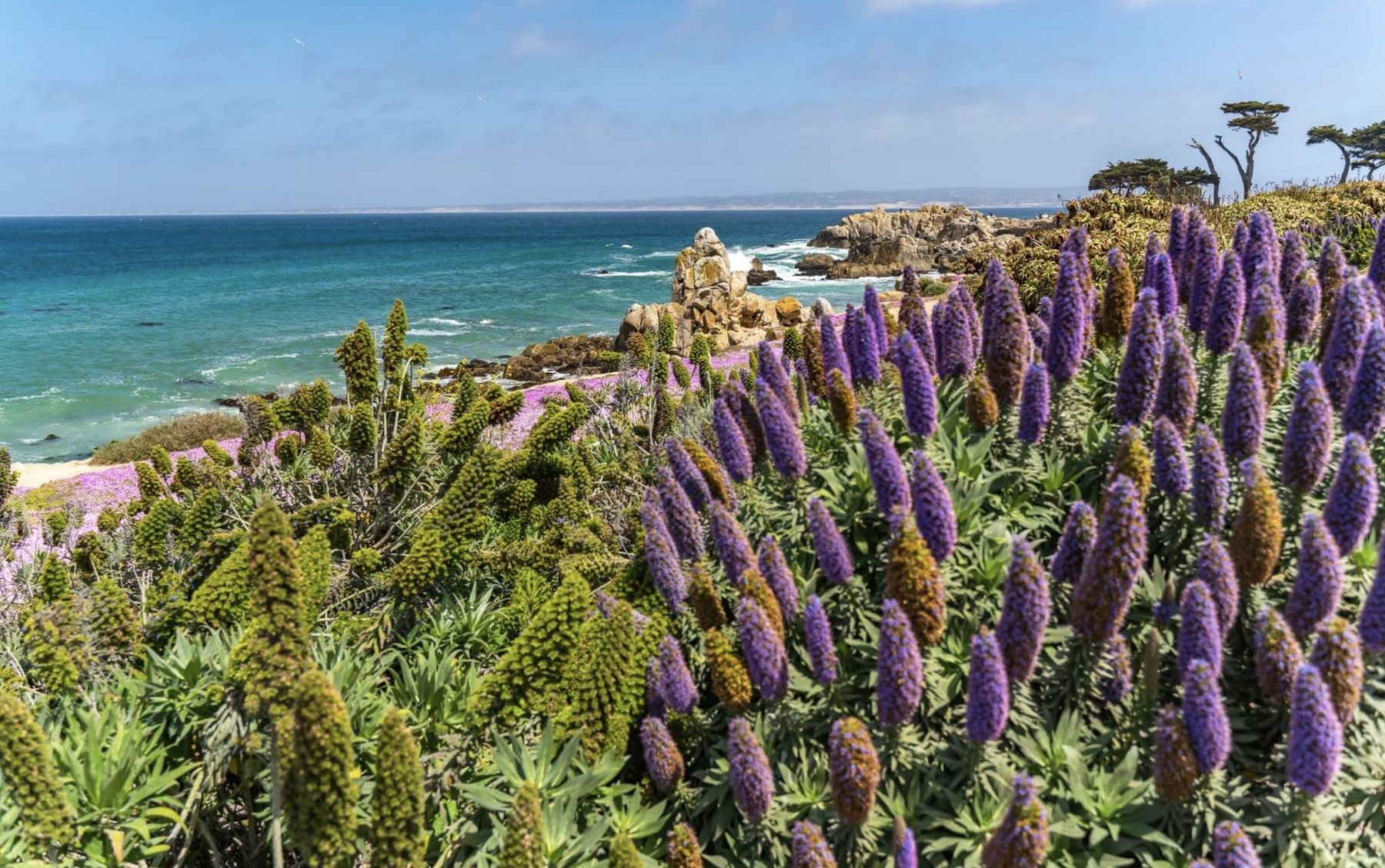 Pacific Grove